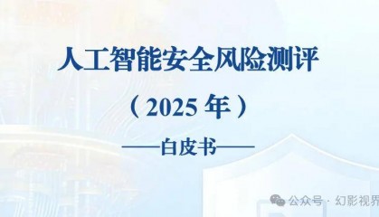 人工智能安全风险测评白皮书（2025年）