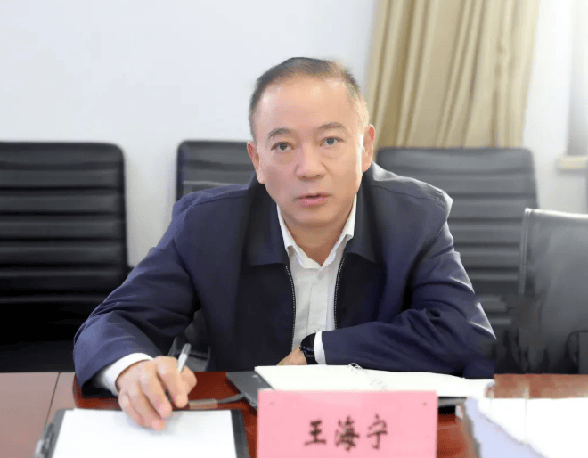 王海宁，被查