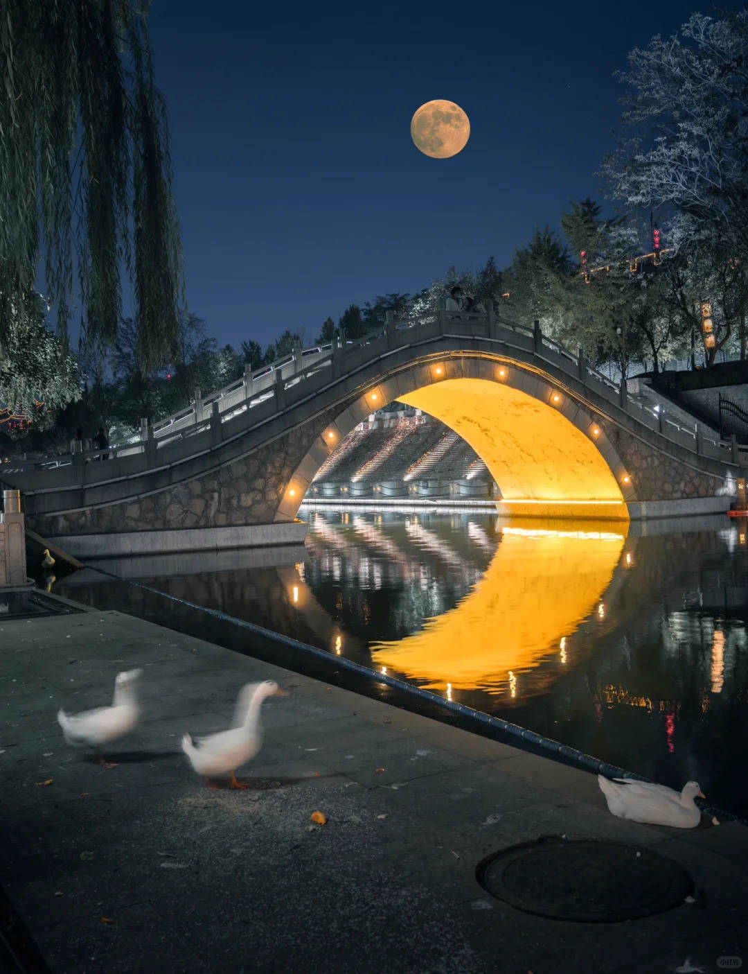 大唐不夜城在西安哪个位置，西安不夜城详细地址揭秘，99游客都走错入口